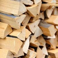 legna da ardere secca 