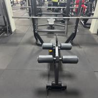 Pana declinata TECHNOGYM pure STRENGHT