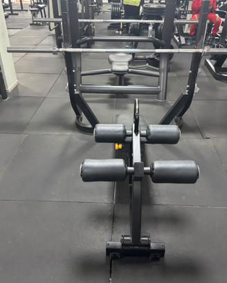 Pana declinata TECHNOGYM pure STRENGHT