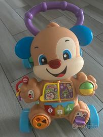 Cagnolino primi passi