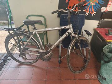 bicicletta city bike 28 uomo