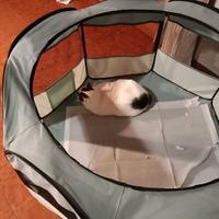 BOX come nuovo