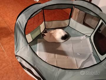 BOX come nuovo