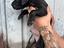Immagine 3