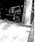 Immagine 23