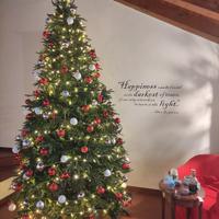 Grande albero di Natale 