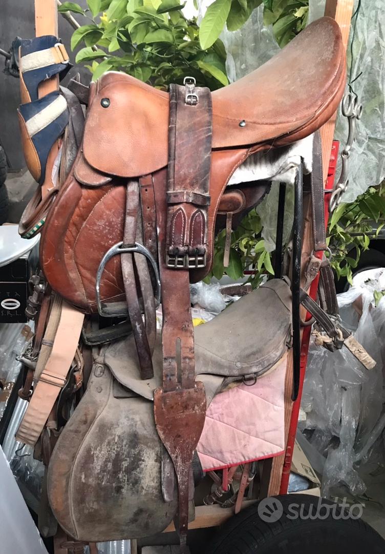 Gsycle Cerchio per Legare Il Cavallo, finimenti per Cavallo in Acciaio Inossidabile e Forniture Accessori per Cavalli sicuri Attrezzatura per l' addestramento del Cavallo con golfare per