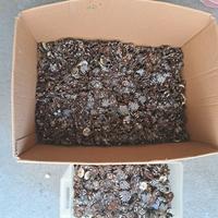 Componenti elettronici - 3 Kg di trimmer