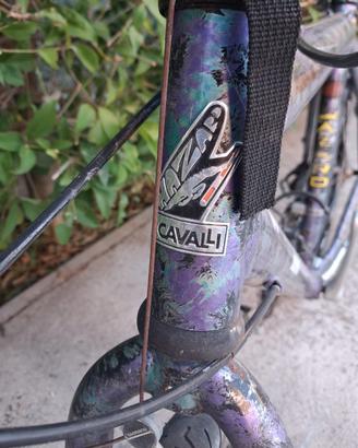 MTB Hazard 