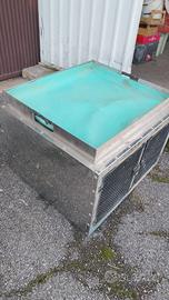 cassetta trasporto cani