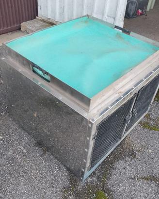 cassetta trasporto cani