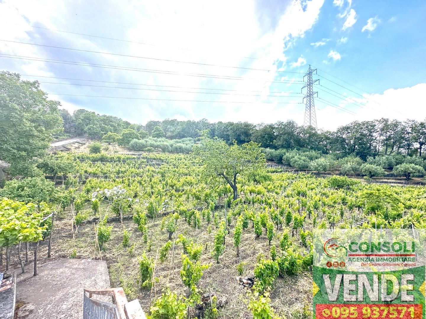 Terreno agricolo con fabbricato a Linguaglossa - Altro