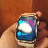 Huawei whatch D2