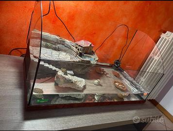 Tartarughiera grande