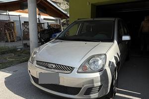 Ford fiesta neopatentati