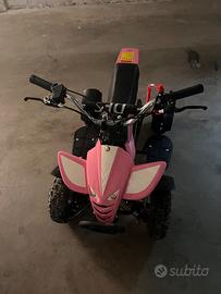 Mini Quad