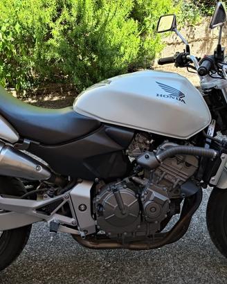 honda hornet 600