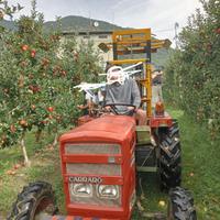 Trattore Carraro 354