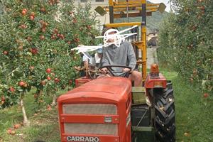 Trattore Carraro 354