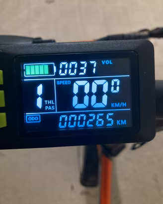 Bici elettrica