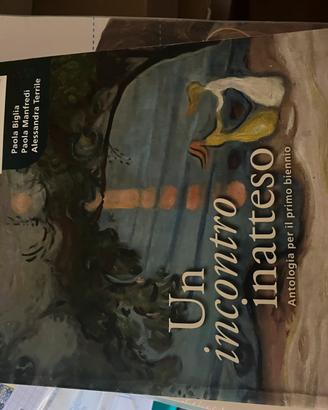 Un incontro inatteso antologia