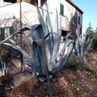 Casolare di campagna