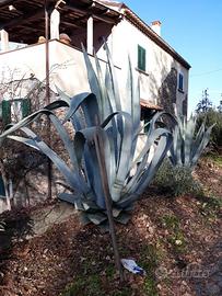 Casolare di campagna