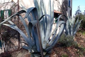 Casolare di campagna