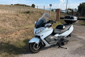 BURGMAN 650  BIANCO 02/2014