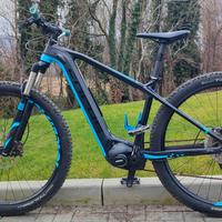 E-bike Focus Bold