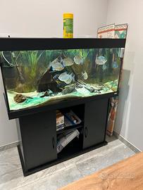Juwel rio 350