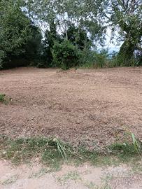 Terreno agricolo