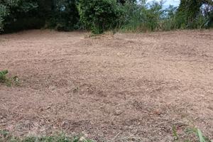 Terreno agricolo