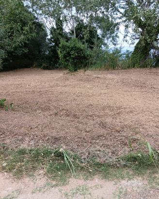 Terreno agricolo