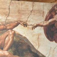 quadro tela (plastificata) 