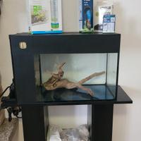 Acquario 
