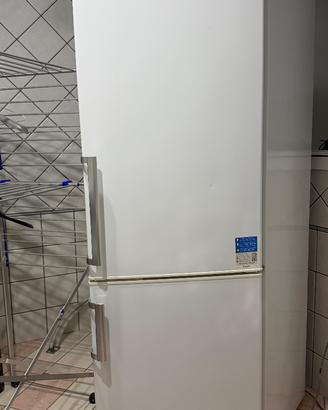 Frigo e Candy