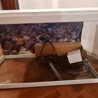 acquario 60 litri