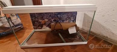 acquario 60 litri
