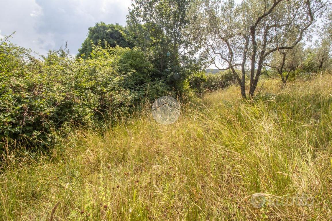 RUSTICO A PALOMBARA SABINA - Altro
