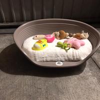 Accessori per animali piccola taglia