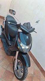 beverly 250 I. E.  Allarme e Paravento