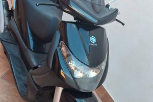 beverly 250 I. E.  Allarme e Paravento