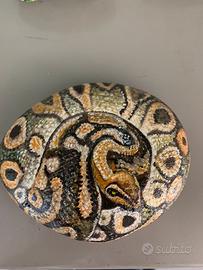 Sasso dipinto a mano-il serpente.