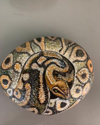 Sasso dipinto a mano-il serpente.