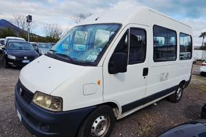 Fiat Ducato 9 posti  anno 2003