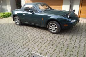 Spider verde con hard-top