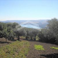 Terreno edificabile - Guardialfiera