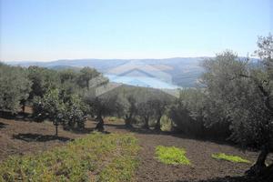 Terreno edificabile - Guardialfiera