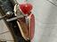 Immagine 2